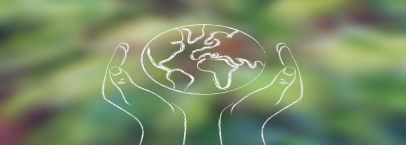 How Public Procurement can Drive More Sustainable Healthcare Picture