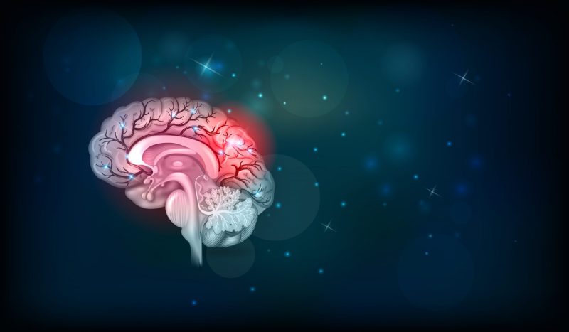 shutterstock_760343680