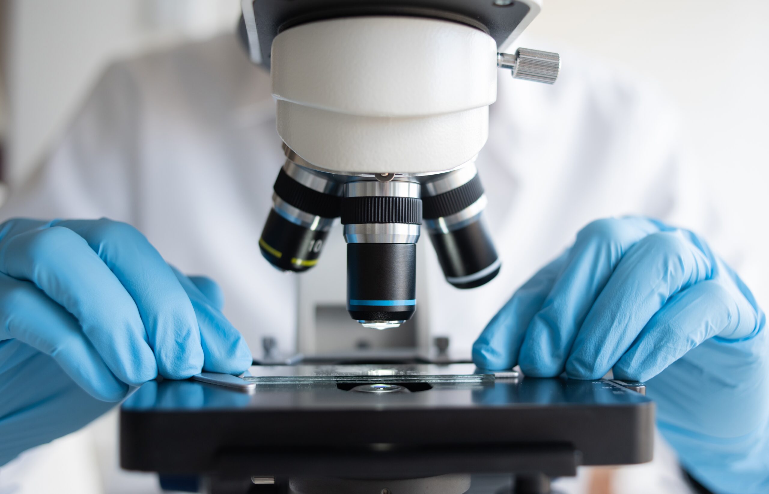 for research use only. not for use in diagnostic procedures Undescribed image